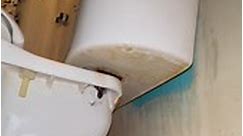 Quick & Easy Toilet Tank Rebuild #plumbing #plumber #plumbproud #plumblife #toilet #toiletrepair #toiletrebuild #toiletcleaning #toiletselfie #plumbingrepair #diy #howto #asmr #reels #reelsvideo #reelsviral #serviceplumber | Theconservativeplumber