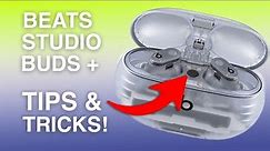 How to Use Beats Studio Buds + / Tips & Tricks!