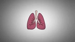 HOW TO DETOXIFY YOUR LUNGS AT HOME- Lung Detoxification for Smokers