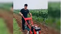 "CHAIN TRACK TILLER CULTIVATOR" | JIBS ONE STOP SHOP Machineries