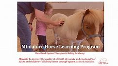 Miniature Horse Learning Program