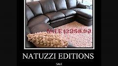 Thanksgiving Day Furniture Sales 2011 Natuzzi Ed. Leather Sofas
