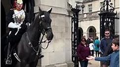 #thekingsguard #horseguardsparade #kingsguard #royalguard #buckinghampalace #royalfamily #kingcharlesiii #tourist #foryoupage #trendingnow #horse #horsetiktok #viral | Kingsguards moment
