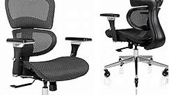 Nouhaus Ergo3D Ergonomic Office Chair Lumbar Support Mesh Office Chair with 4D Adjustable Armrest, Adjustable Headrest and Wheels, Mesh High Back Home Office Desk Chairs(Black)