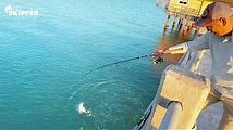Pier Fishing Tips: How to Catch More and Bigger Fish
