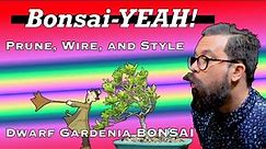 How to Prune, Wire, and Style A Dwarf Gardenia