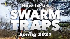 How to Set Swarm Traps to catch honeybees | Spring 2021 (Beekeeping 101)