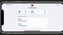 How to merge contacts on iPhone or iPad | AppleInsider