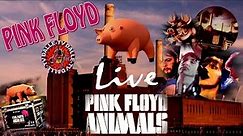 Pink Floyd - Animals / Live-Perfomance