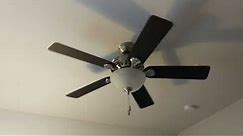 52" Brushed Nickel Hunter Waldon ceiling fan | with cat visitor