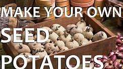 How to Make Your Own Seed Potato Sets For CHEAP!