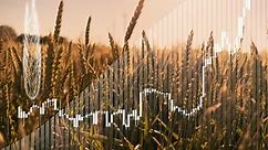 Prairie wheat weekly outlook: Weaker U.S. futures drag Western Canadian wheat bids - AGCanada