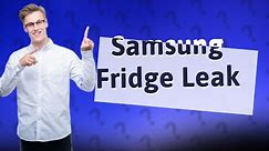 Why does my Samsung refrigerator leak water inside?