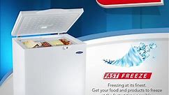 Willy & Sons - Fujidenzo Chest Freezer with Dual function...