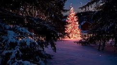최고의 크리스마스 자연 공예품과 장식품 스톡 동영상 비디오(100% 로열티 프리) 1083395668 | Shutterstock