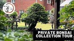 Private Bonsai Collection Tour | The Bonsai Supply