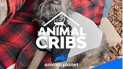 Animal Cribs: Season 2 Episode 6 Subterranean Paradise