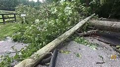 ‘We Feel Abandoned’ Some In Baltimore County Told They Will Not Have Power For Days After Storms