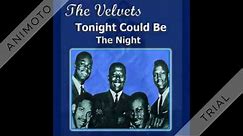 Velvets - Tonight (Could Be The Night) - 1961