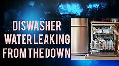 The Shocking Truth About Your Leaking Dishwasher