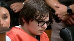 WATCH LIVE: Final day of testimony in Michigan school shooting hearing as judge is set to decide killer's fate