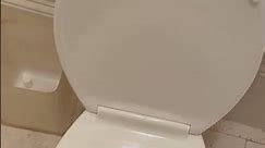 Kohler wellworth toilet at an open house
