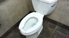 Bathroom Tour: Kohler Toilet and Urinal at Kmart