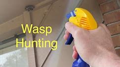 Wasp Hunting Homemade Wasp / Bug Killer