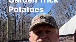 Garden Trick Potatoes #gardening #gardentricks #raisedbedgarden | Randy Corsbie