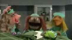 The Muppets: Veterinarian's Hospital (Kermit)