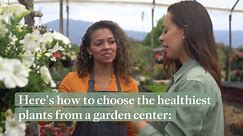 How to Choose the Healthiest Plants From Your Garden Center