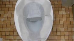The Proper Way to Put on a Toilet Seat Cover