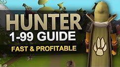 Theoatrix's 1-99 Hunter Guide (OSRS)