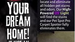 One ☝️ of the best pet stain and odor removal companies in Parrish and surrounding areas.
