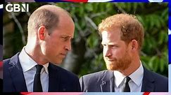 Prince Harry ranking more popular than Prince William in a recent US poll | Kinsey Schofield