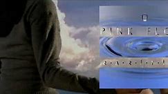 Pink Floyd Rarities - A Treeful of Secrets CD16