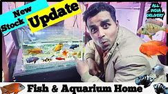Shop Visit-28 | Fish & Aquarium Hobby | Aquarium fish shop video |Exotic fish collections | #pets