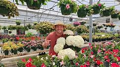 Garden Center Tour |Awe-Inspiring Plant Ideas!|