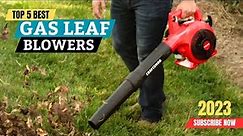 Top 5 Best Gas Leaf Blowers On 2023 || Gas Leaf Blower || Buying Guide