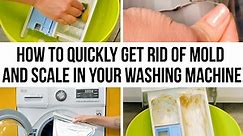 How to quickly get rid of mold and scale in your washing machine