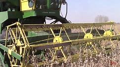 John Deere 55 EB Combine Harvesting Soybeans