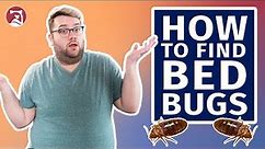 How To Find Bed Bugs In Your Bedroom