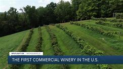 Spotlight on Nicholasville: First commercial winery in the U.S.