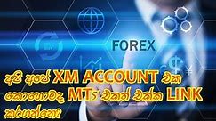 How to Link Your XM Account to MT5 | අපි හදා ගත්ත XM Account එක කොහොමද MT5 එකට link කරගන්නෙ..