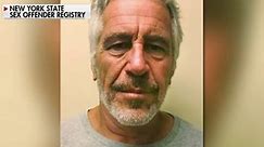 CIA whistleblower: 'No reason' why we can't get Epstein's flight logs