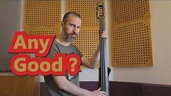 Stagg Electric Upright Bass (E.U.B.) Demo & Review (no talking)