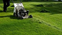 11 best lawn mowers in 2023, according to reviewers: Gas, corded & electric