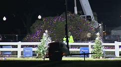 White House Christmas tree toppled to the ground amid high winds