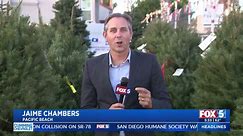 Rising Cost Of Christmas Trees