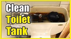 How to Clean Toilet Tank with Citric Acid (Almost no Scrubbing!)